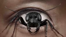 CONTROL FREAK Exclusive Interview With Kelly Marie Tran, Miles Robbins, & Director Shal Ngo