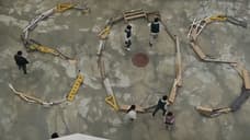 Hyosan High Gets Set To Reopen As ALL OF US ARE DEAD Season 2 Locks In Filming Start Date