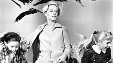 The Birds HBO Series Starring Succession's Sarah Snook In Development