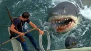SHARKS! 9 Movies That Still Pretty Much Guarantee You'll Want To Avoid The Water