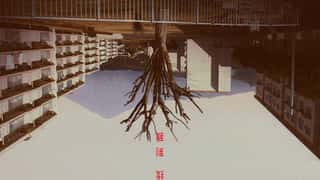 Yen Press Licenses Found-Footage Horror Manga About A Place In The Kinki Region And Secret