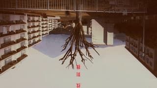 Yen Press Licenses Found-Footage Horror Manga About A Place In The Kinki Region And Secret
