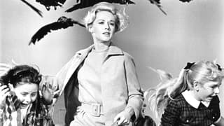 The Birds HBO Series Starring Succession's Sarah Snook In Development