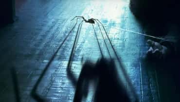STING Director Thought Helming Giant Spider Horror Movie Would Cure His Arachnophobia - It Did Not