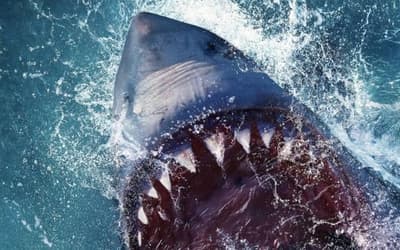 MANEATER Interview: Producer Daemon Hillin Goes Behind-The-Scenes Of The Killer-Shark Movie