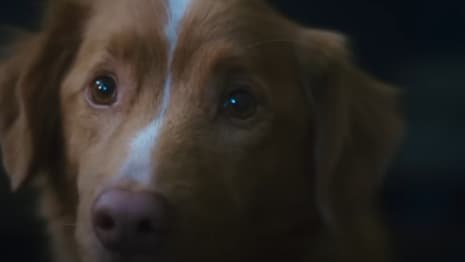 GOOD BOY Horror Film Puts Man's Best Friend In The Final Girl Role