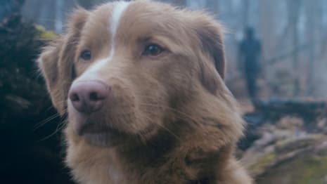 GOOD BOY Spoilers: Does The Dog Die? Find Out Here!