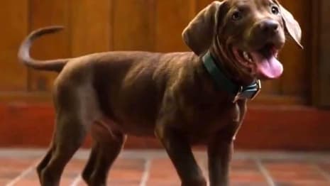Scooby-Doo: Origins Netflix Reveals New Look At Scoob & The Mystery Inc. Gang As Production Wraps