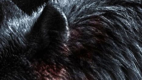 Werwulf: First Official Image From Robert Eggers' Medieval Horror Movie Released