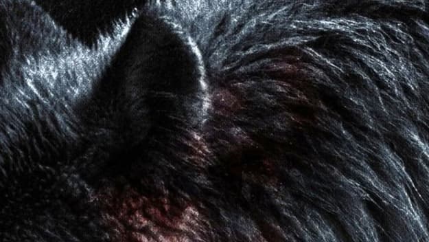 Werwulf: First Official Image From Robert Eggers' Medieval Horror Movie Released