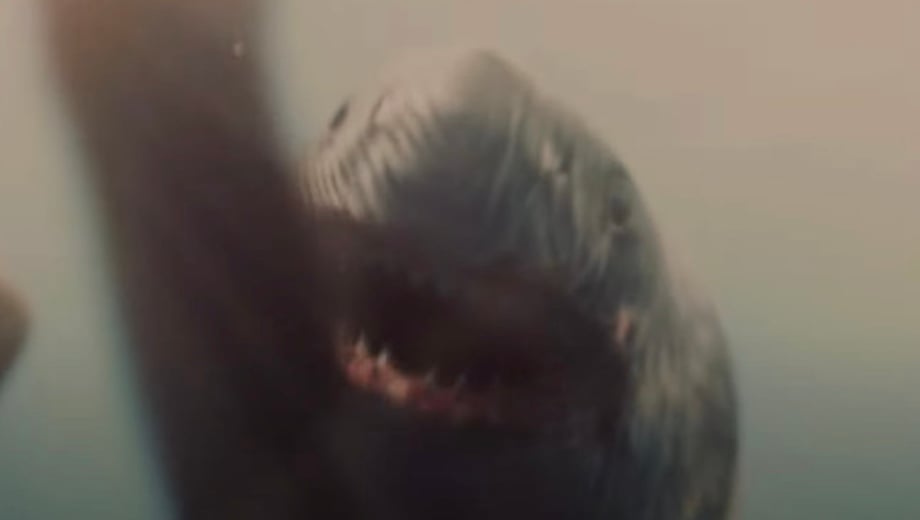 Maneater-Banner-5