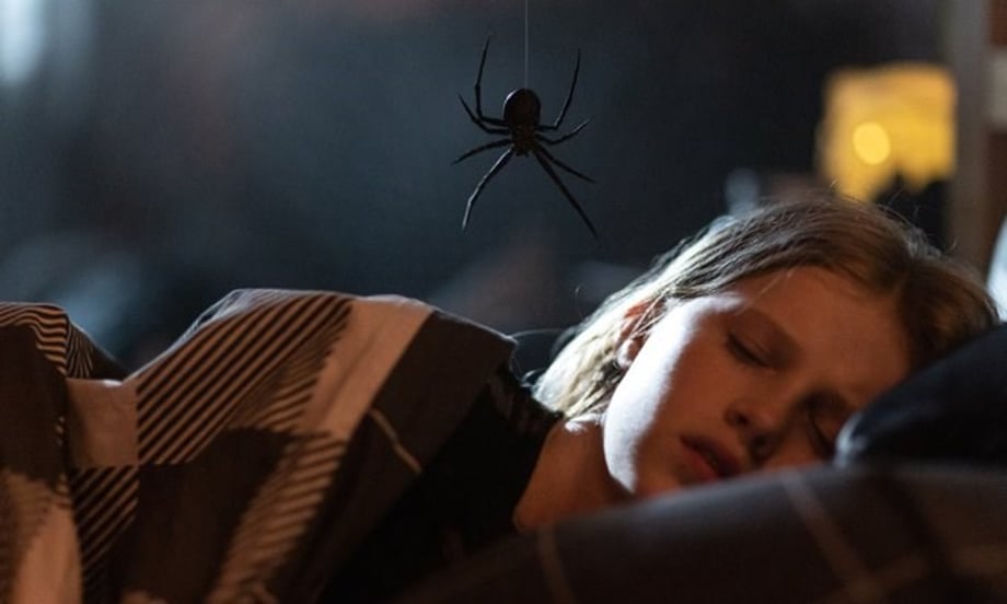 STING: Arachnophobes May Want To Avoid This First Trailer For New Giant Spider Movie