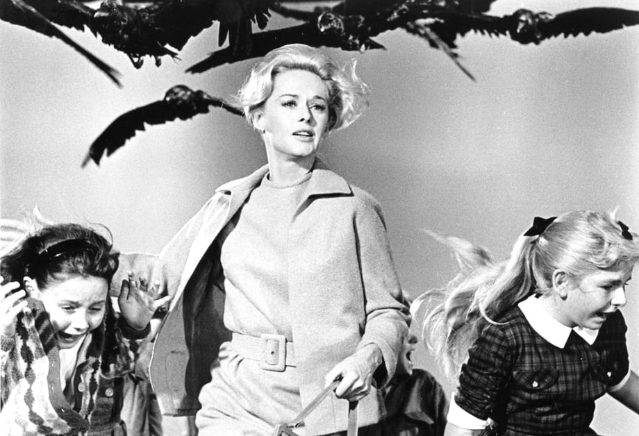 The Birds HBO Series Starring Succession's Sarah Snook In Development