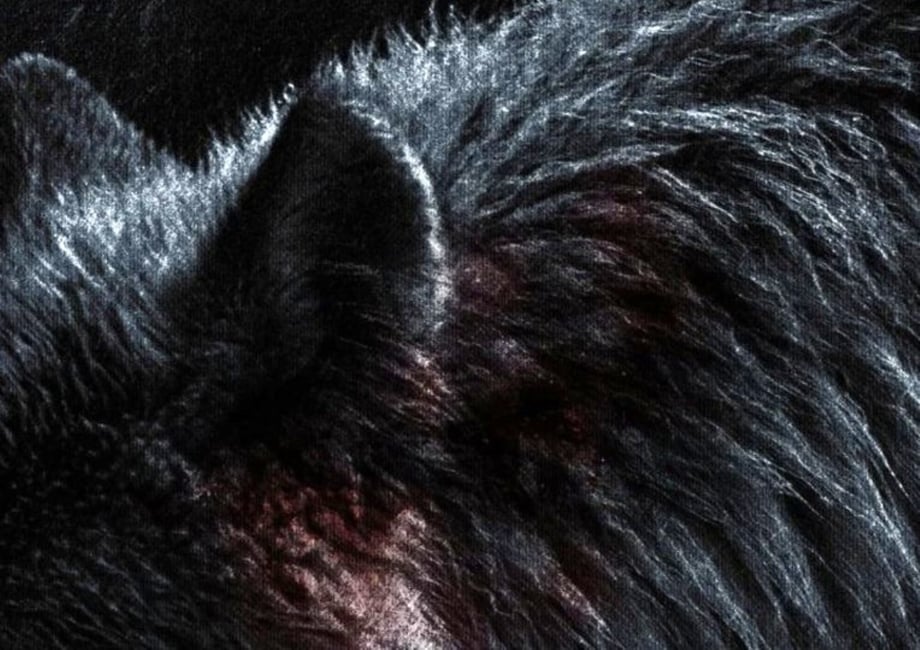 Werwulf: First Official Image From Robert Eggers' Medieval Horror Movie Released